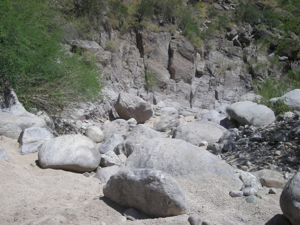 DSCN3940.jpg