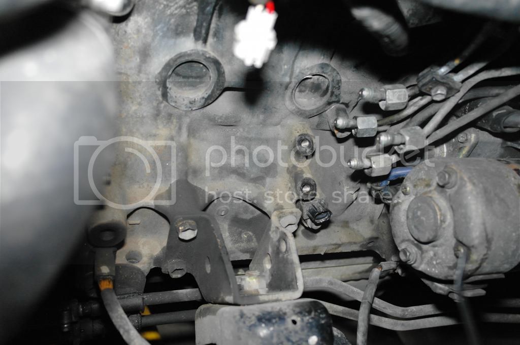 SAM_0137_zps7e6a747e.jpg