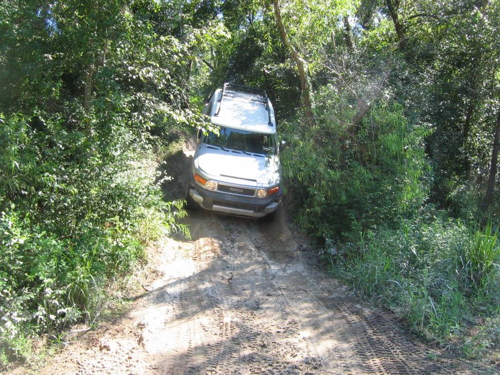 IMG_3880.jpg