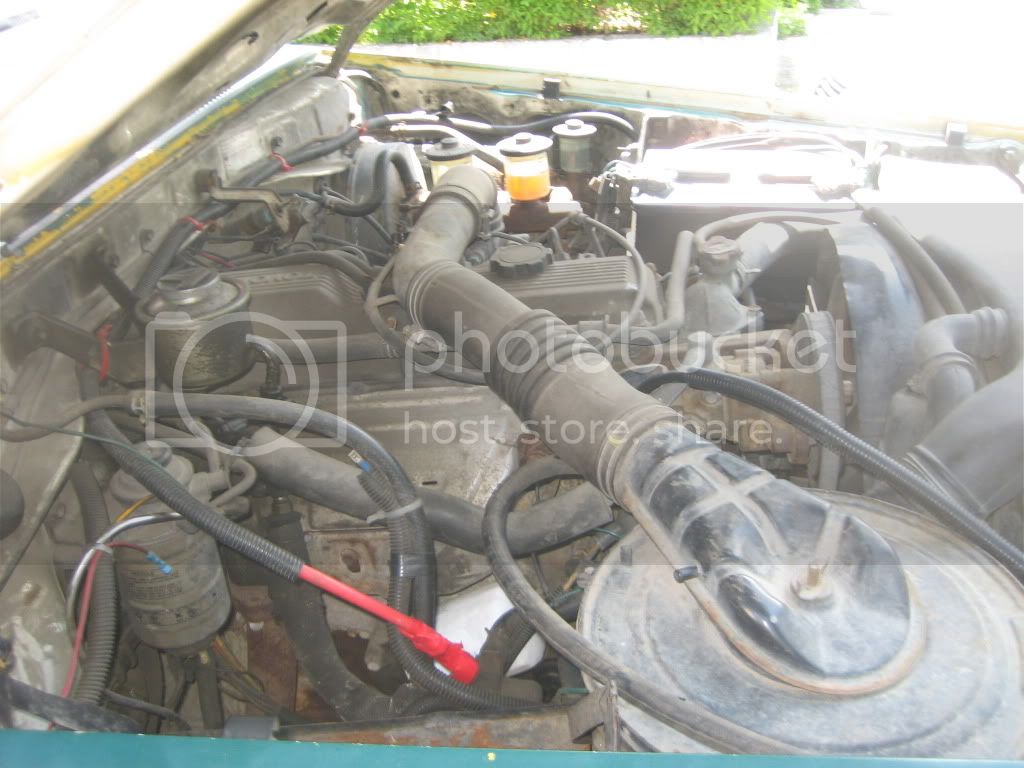 burbbj75010.jpg
