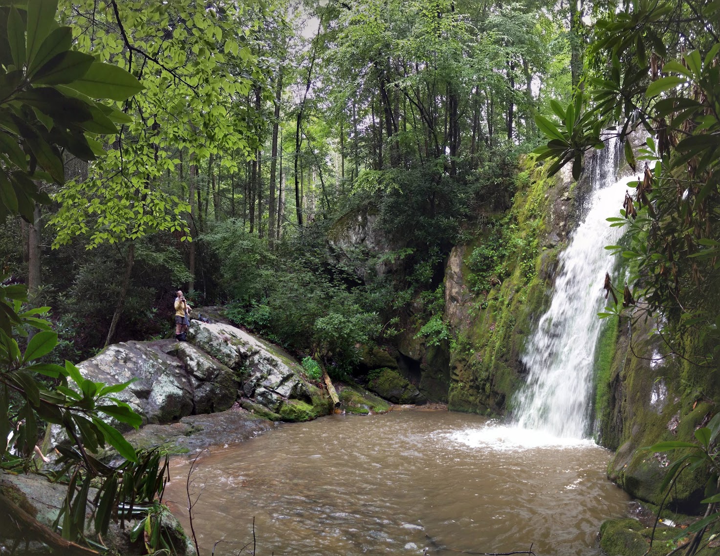 VlGlsV_CdPrlrU0qnunwjTFNG4xMh_Ssk4DfXllUc2PR=w1473-h1137-no