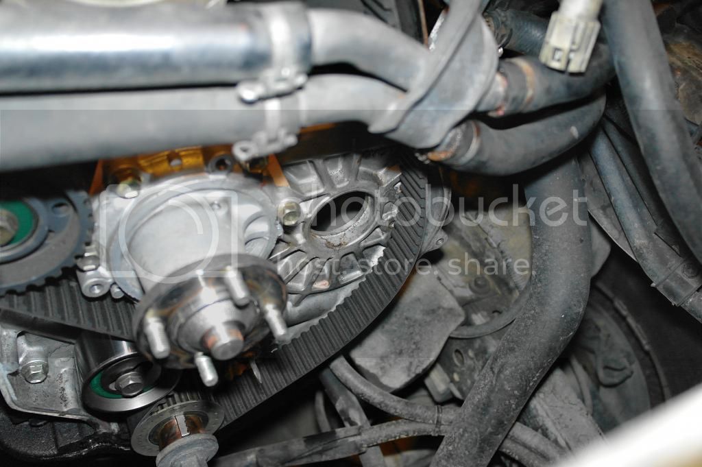 SAM_0135_zps7ac3748a.jpg