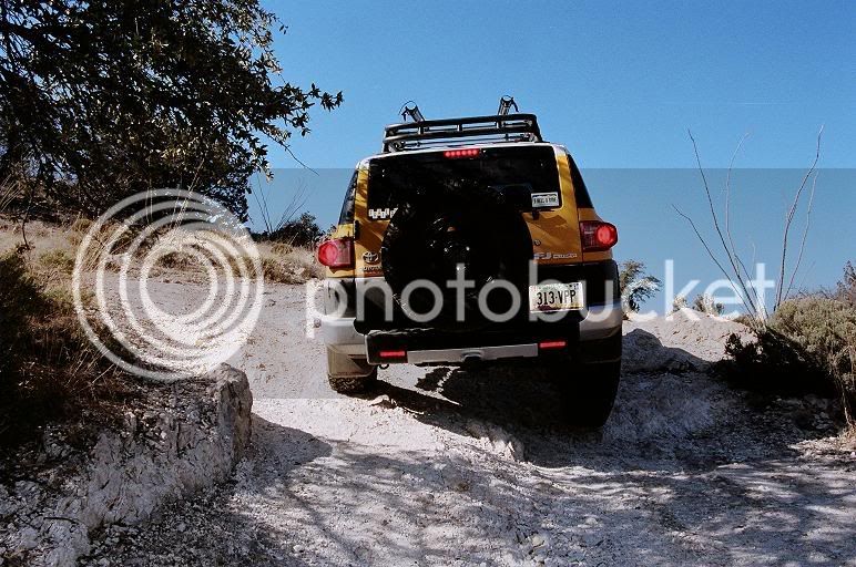 chiva100167small.jpg