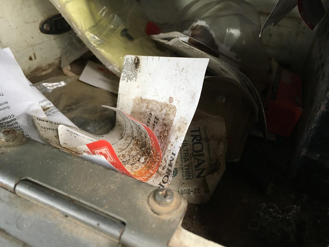 IMG_9494-X2.jpg