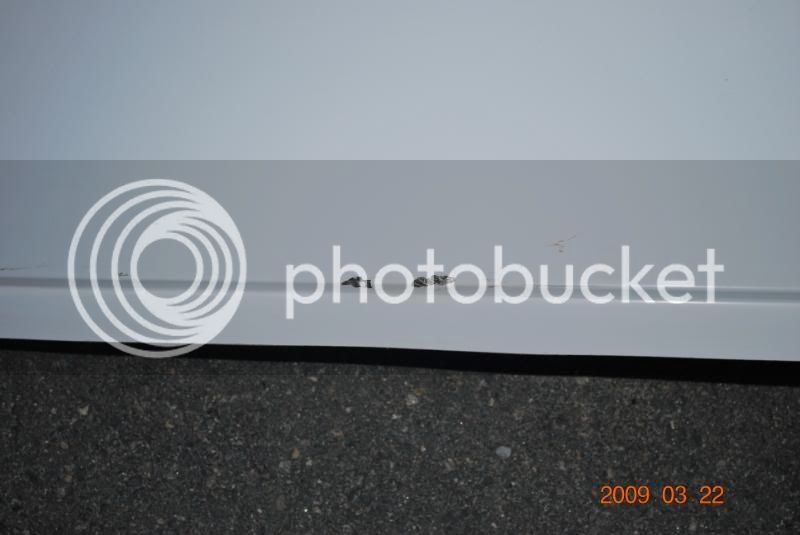DSC_0036.jpg