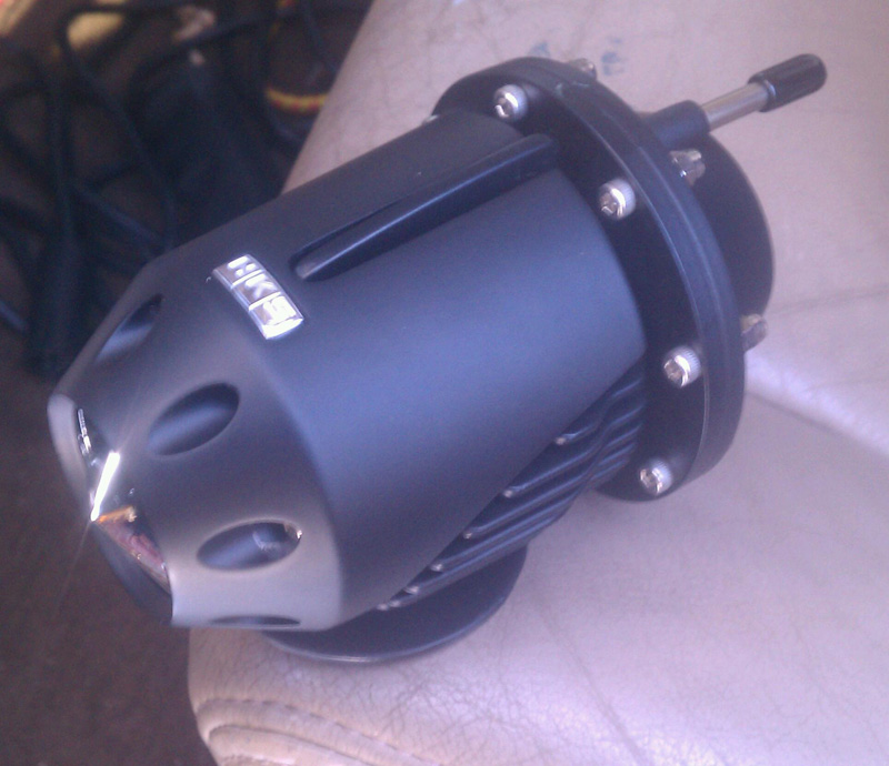 bov.jpg