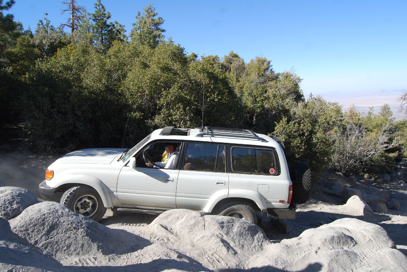 BigBear817.jpg
