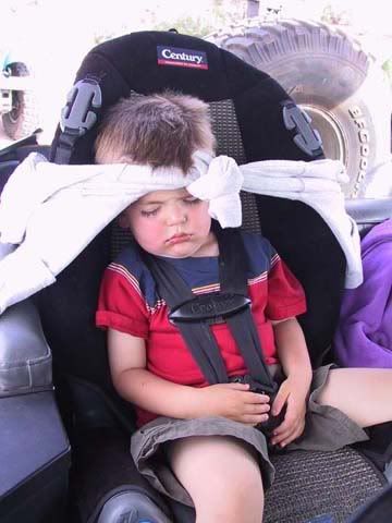 Bjornnsleep.jpg