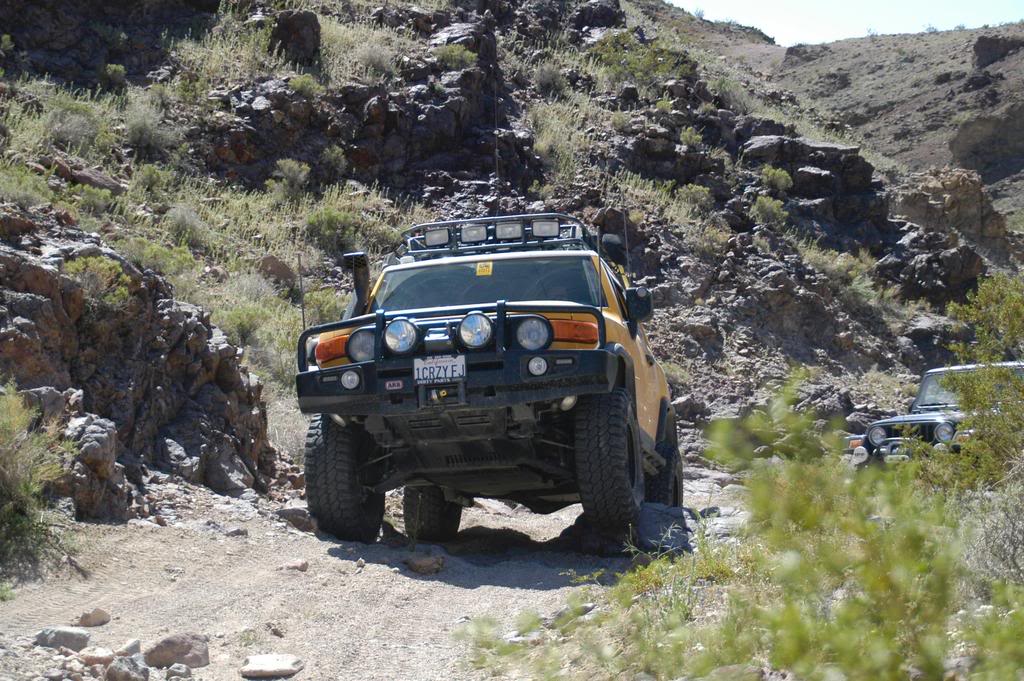 DSC_0398.jpg