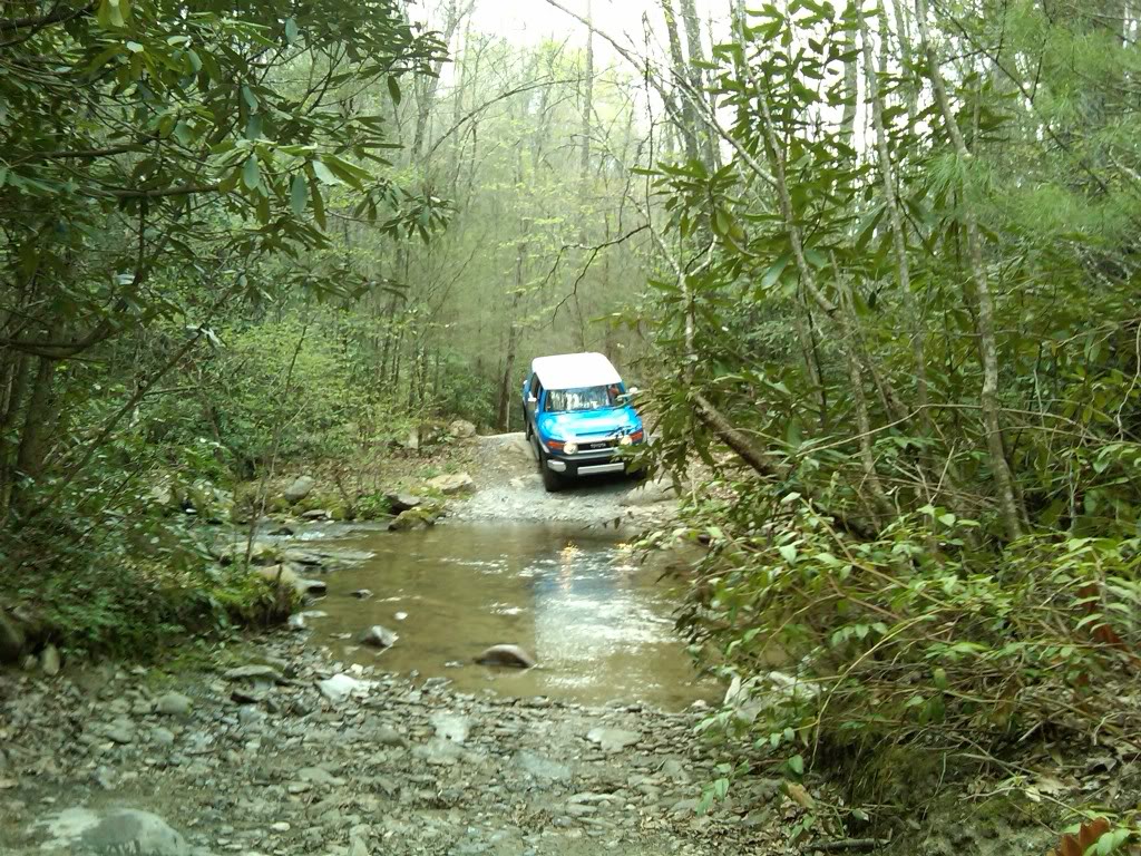 IMG00010-20090425-1549.jpg