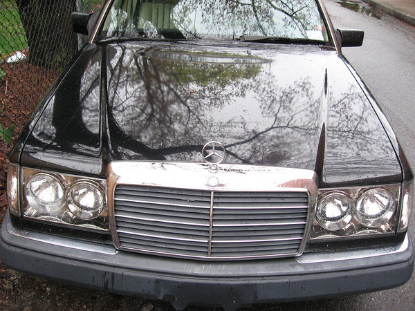 287302912_4Lrom-M.jpg