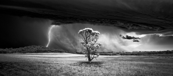 Barossa-Bolt-by-Luke-Tscharke-720x320.jpg