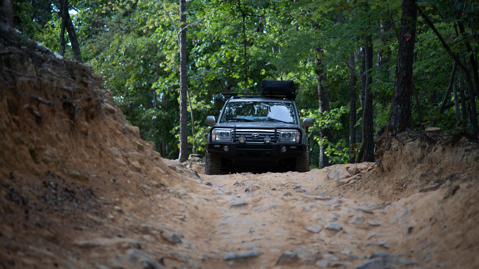 52239282258_0641b81a9f_h.jpg[