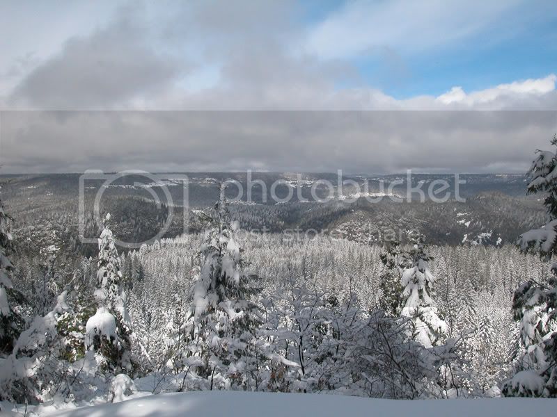 scenery2.jpg