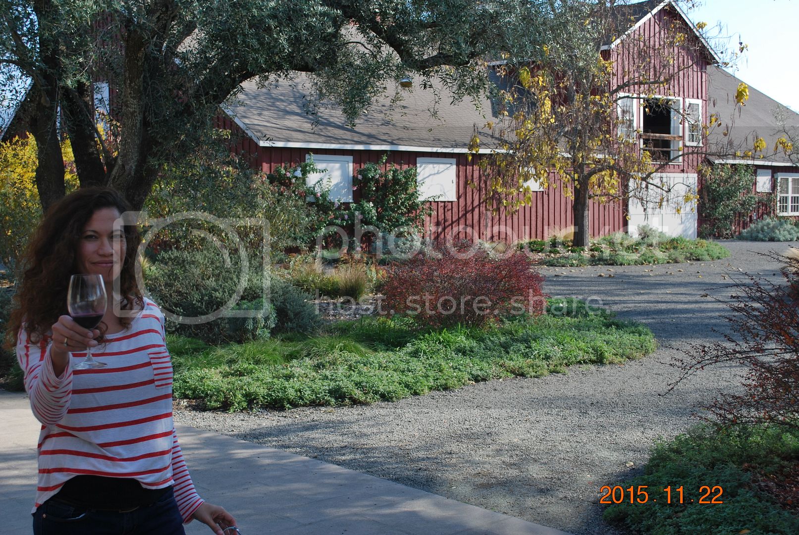DSC_2503_zpspvrxan7u.jpg