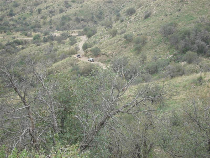 183958458-L.jpg