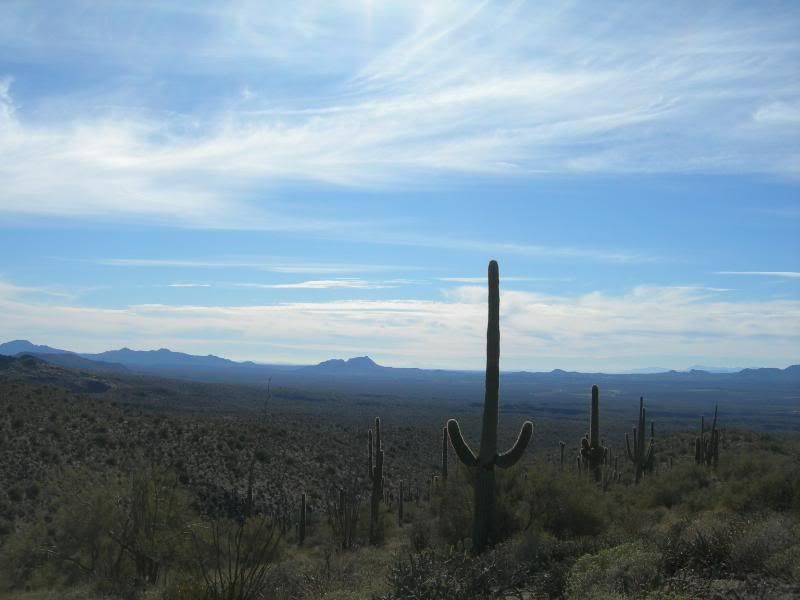 DSCN2748.jpg