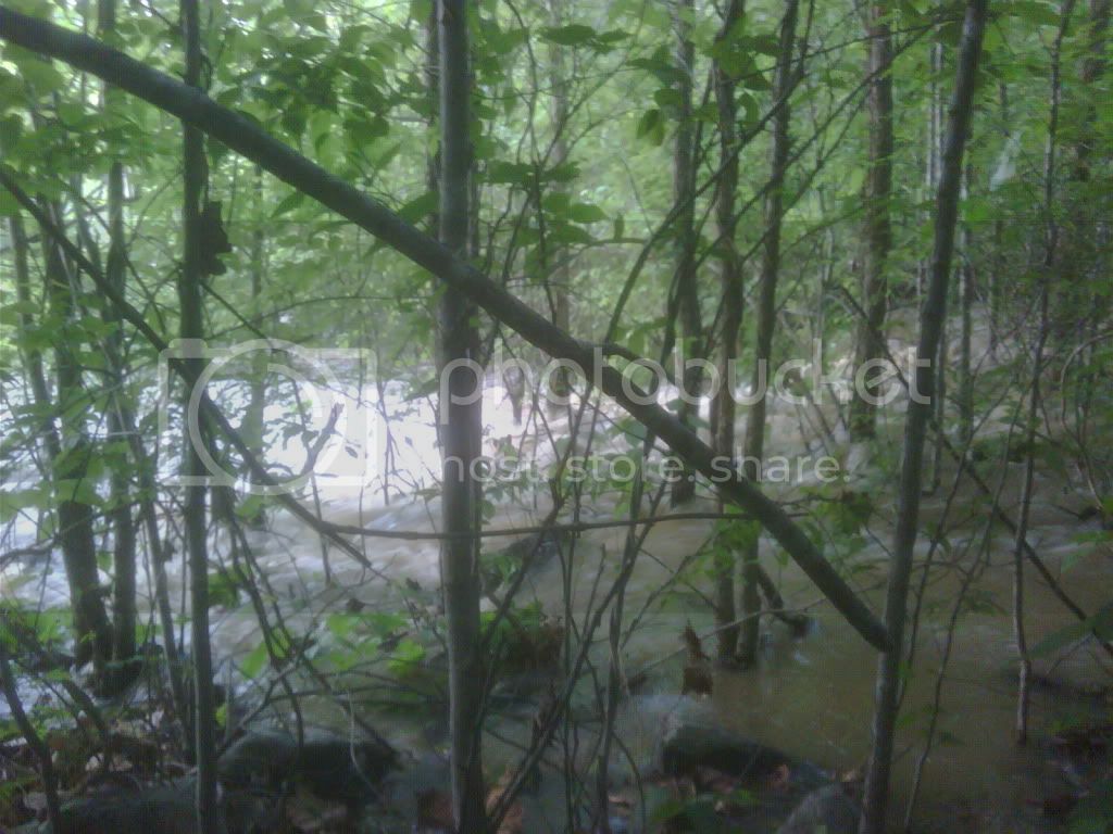 IMG00057-20100502-1818.jpg