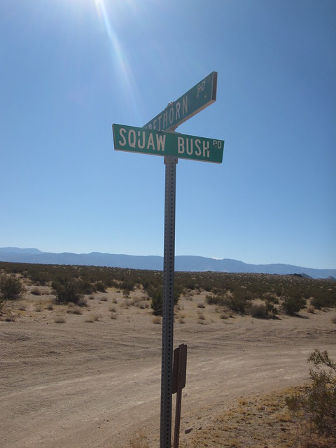 6301268141_aa7b552566_z.jpg