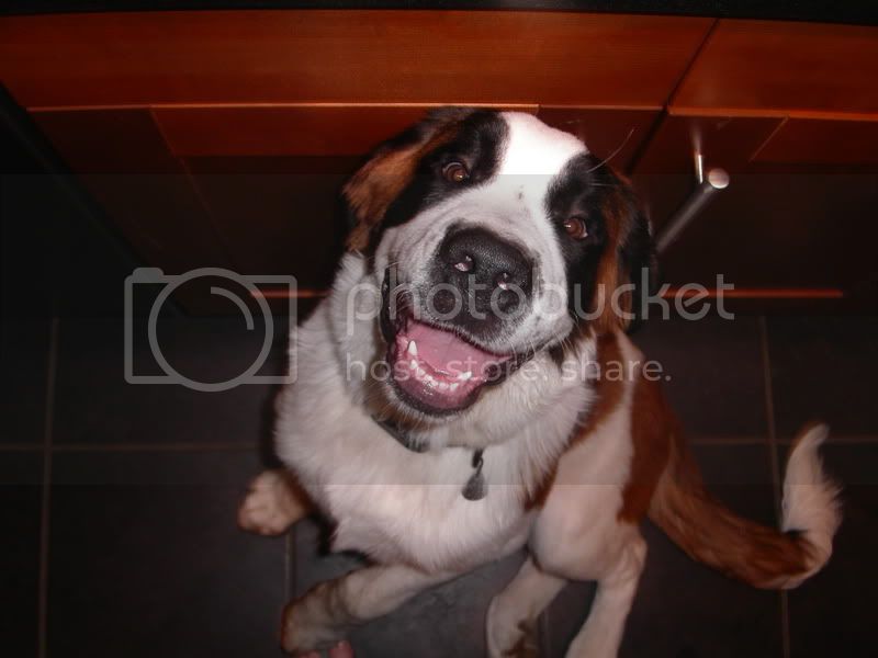PICT0030.jpg