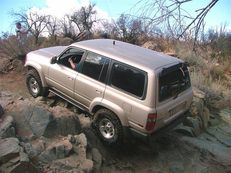 25840310-L.jpg