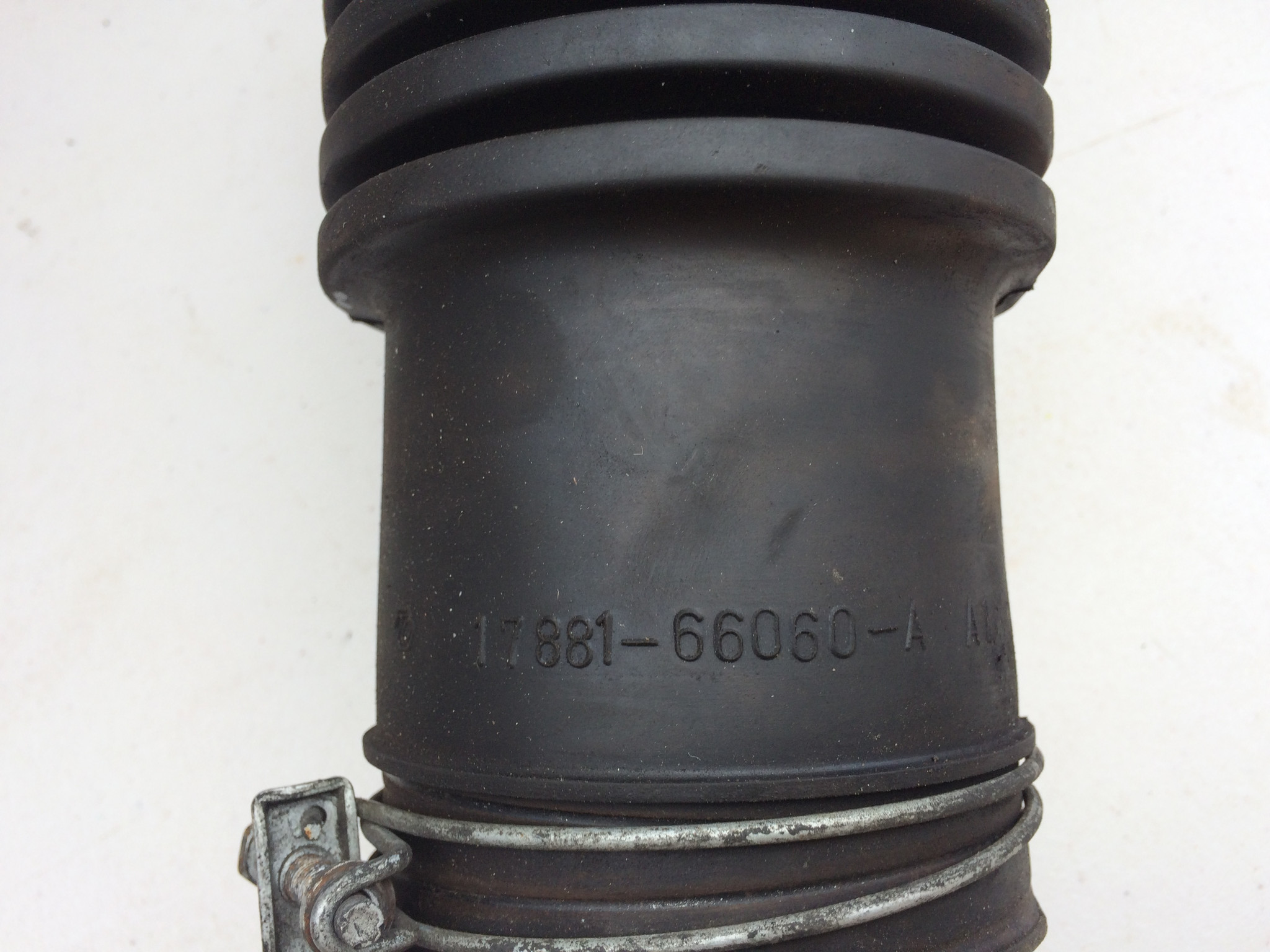 IMG_1218.JPG