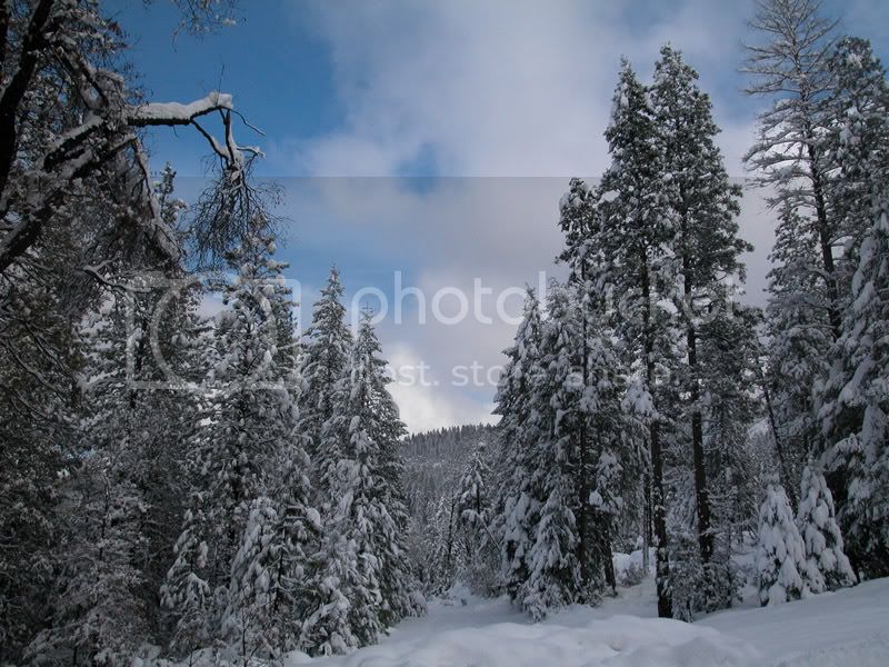 scenery1-1.jpg