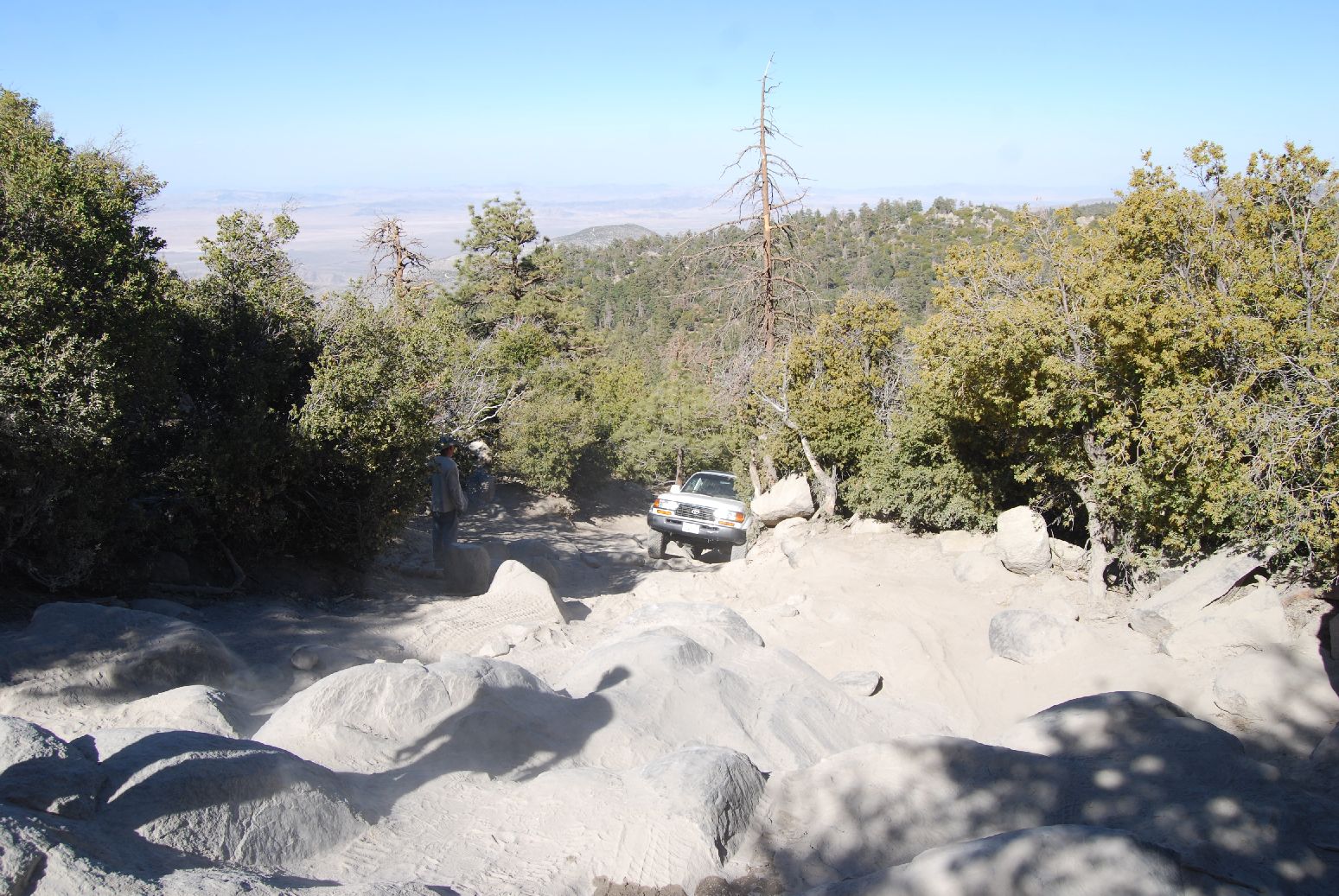 BigBear814.jpg