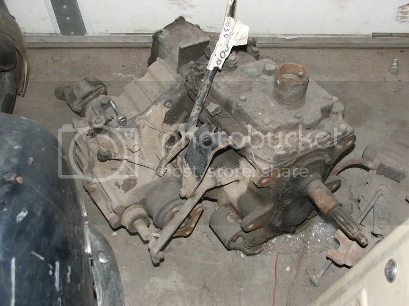 Picture_416.jpg