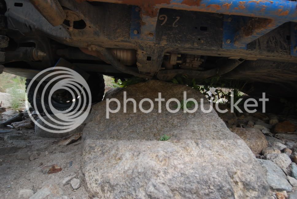 DSC_0312.jpg