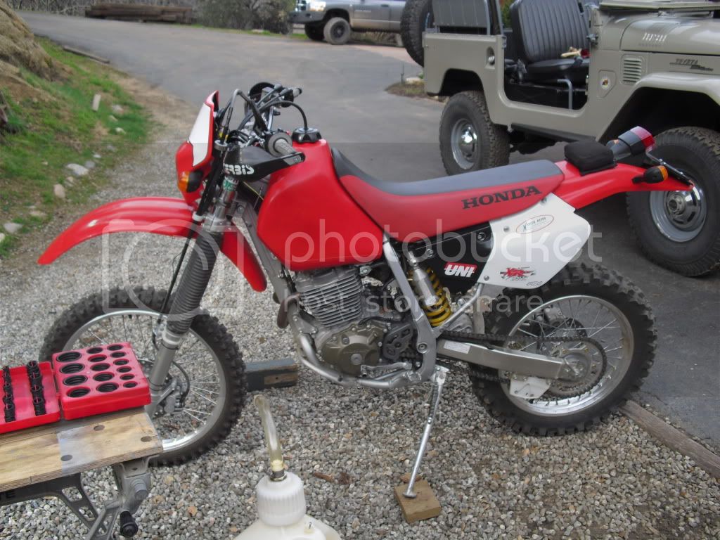 CIMG0969.jpg