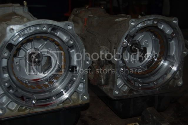 DSC_8111.jpg