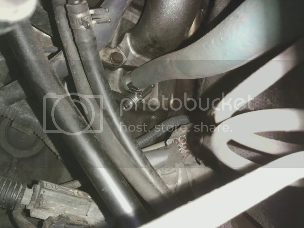 PHH-underside.jpg