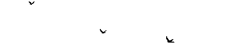 bbf6cdd09caa.gif