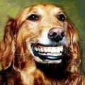 dog_smile.jpg