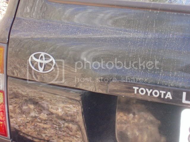 March06131.jpg