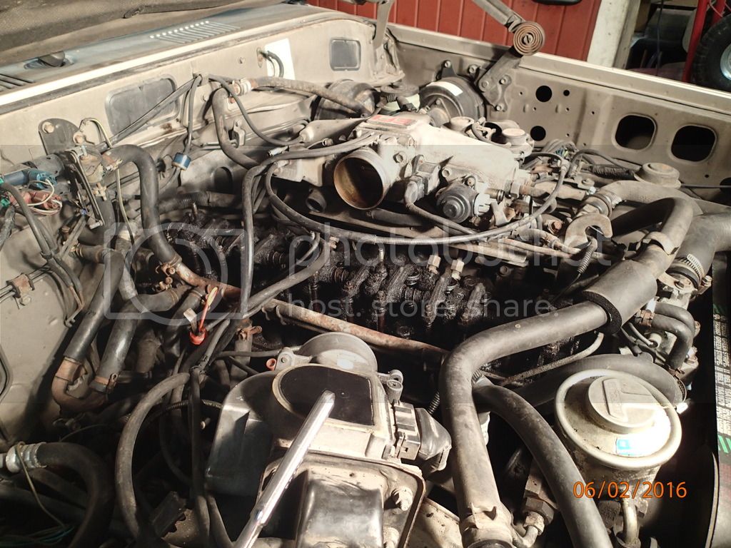 P2060256_zpstdasin2l.jpg