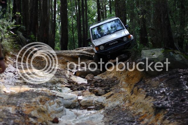 IMG_7851_zpsg3dqlm9e.jpg