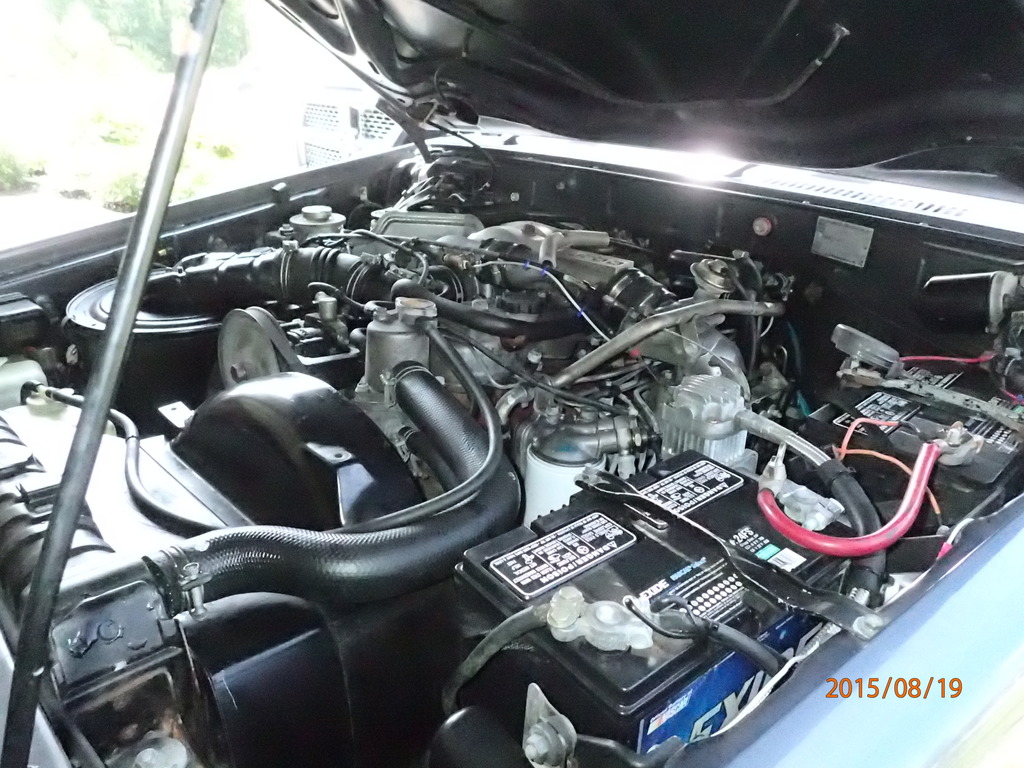 P8190553_zpspgczvxbt.jpg