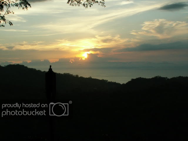 PICT0261.jpg