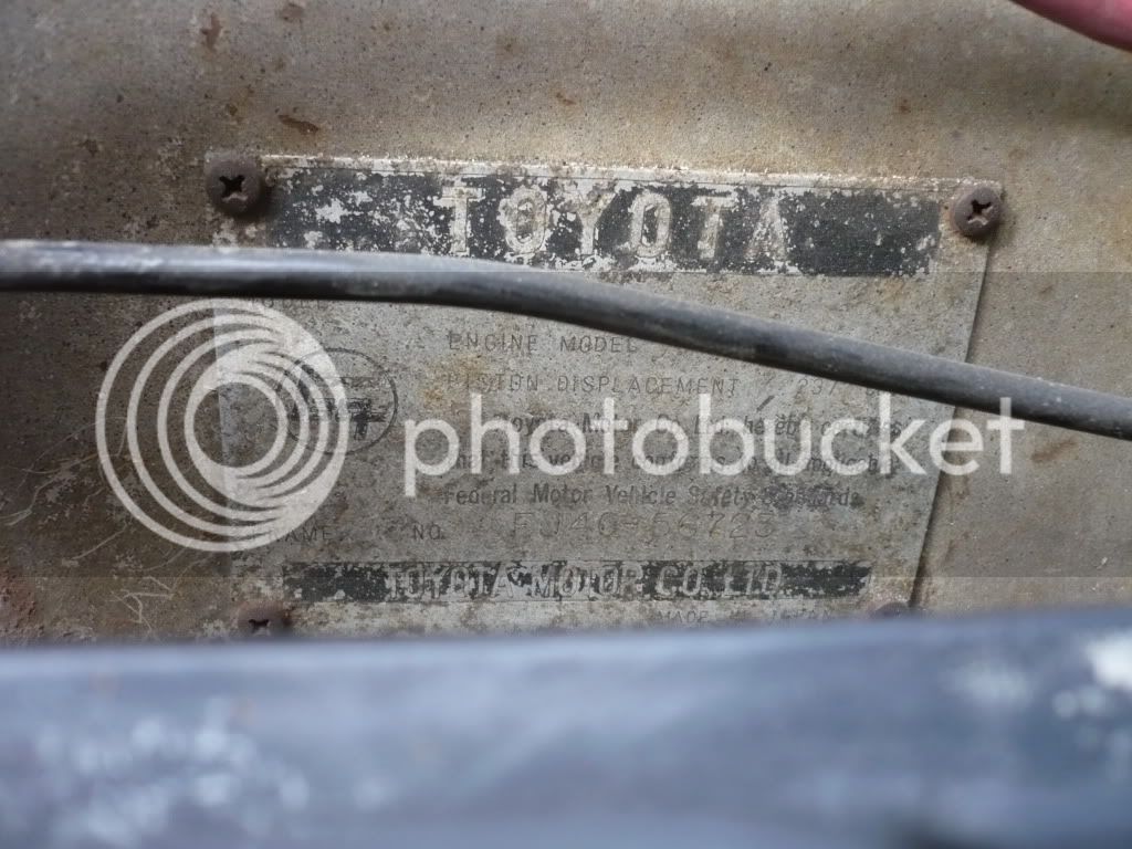 FJ401968037.jpg