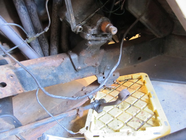 IMG_1508.sized.jpg