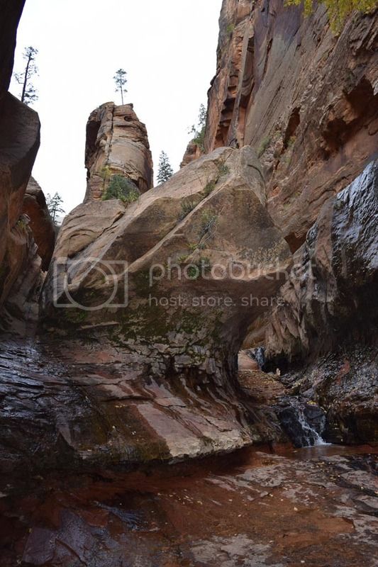 DSC_0504.jpg