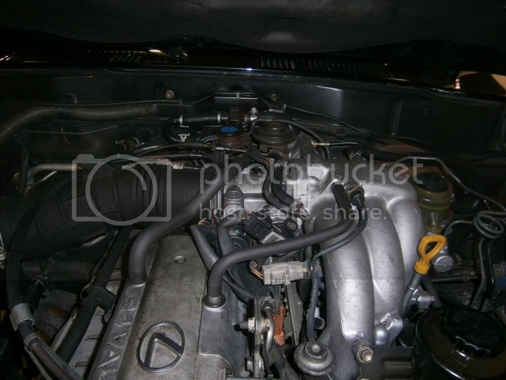 P3280093_zpsbf50f290.jpg