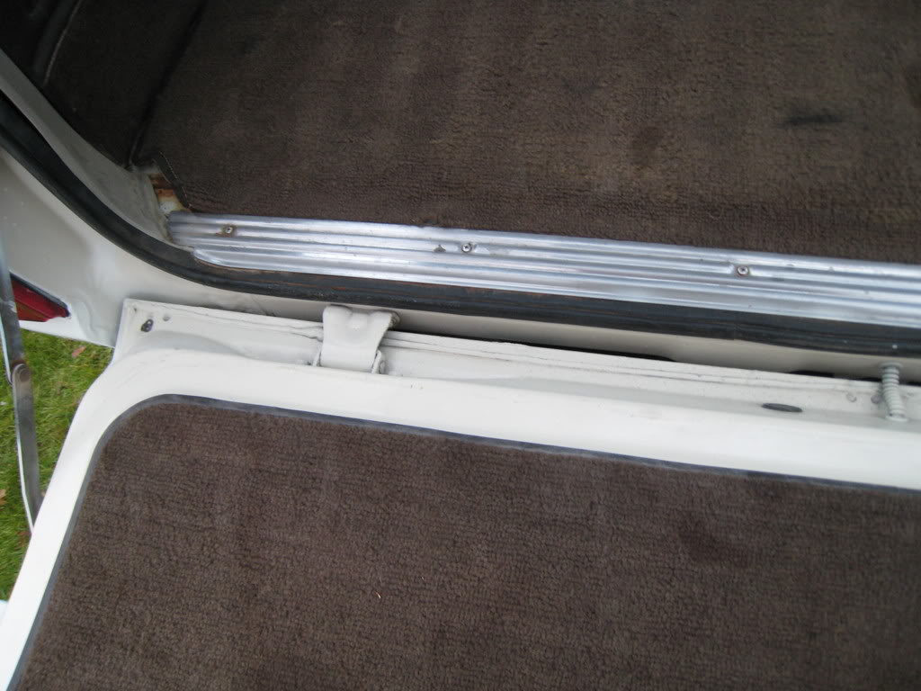 White036.jpg