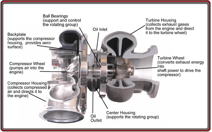 Cutaway_enlarge.jpg