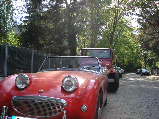 dsc0092029br.jpg