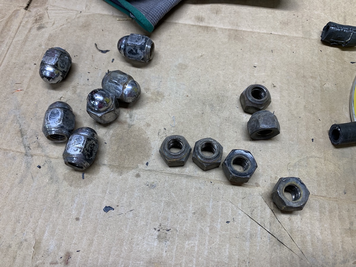 226nuts.jpg