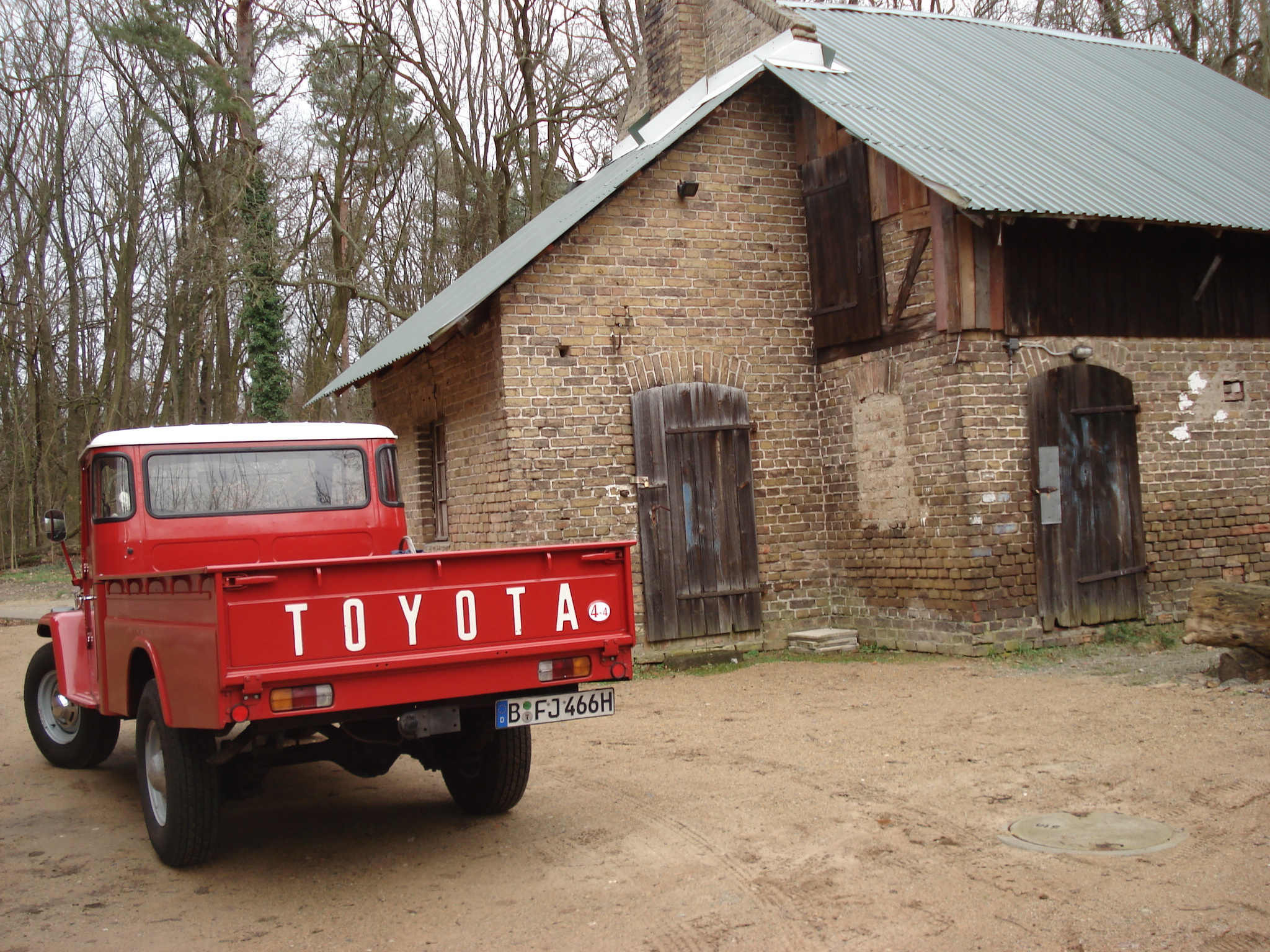 dsc016935msfs.jpg