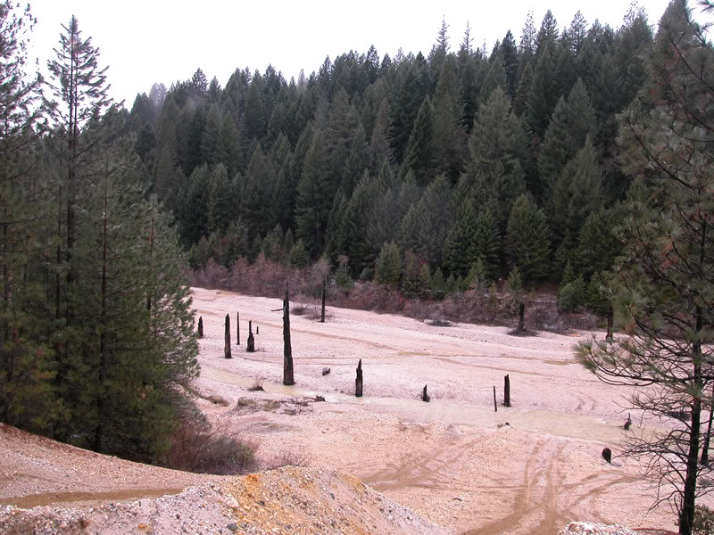 creekbed.jpg